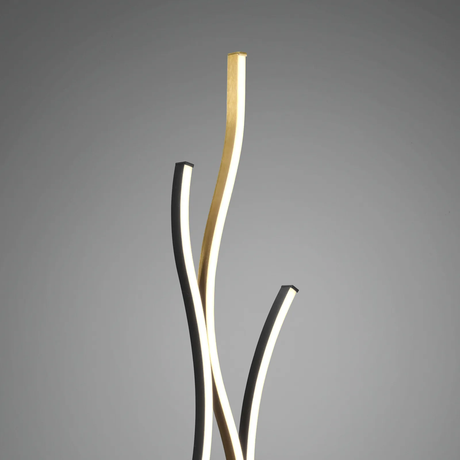 Blaze Piantana LED con dimmer, CCT, ottone