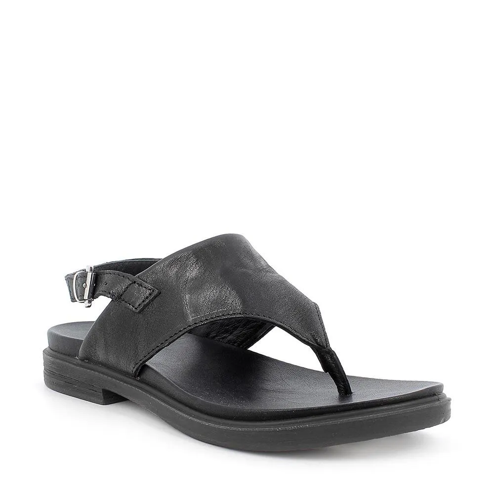 Igi & Co  ---------    ------------IGI&CO scarpe donna sandali 7166088-PE21