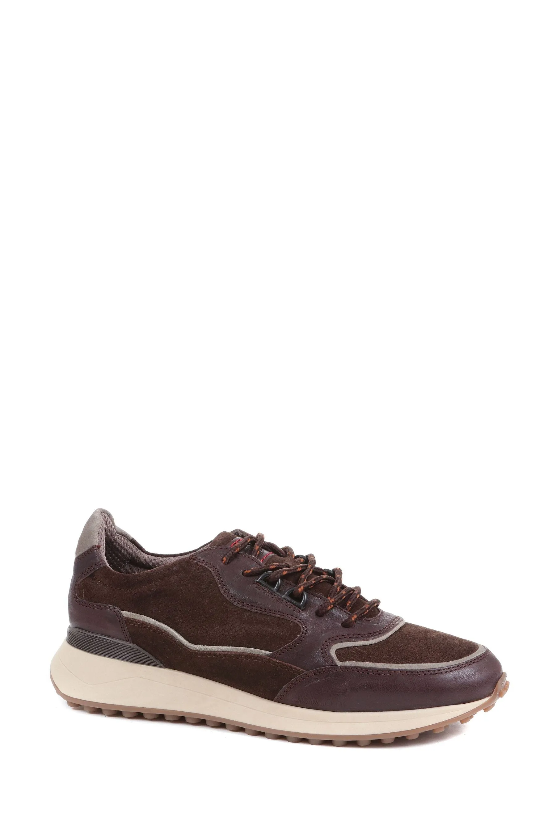 Pavers - Gents - Marrone - Scarpe da ginnastica casual