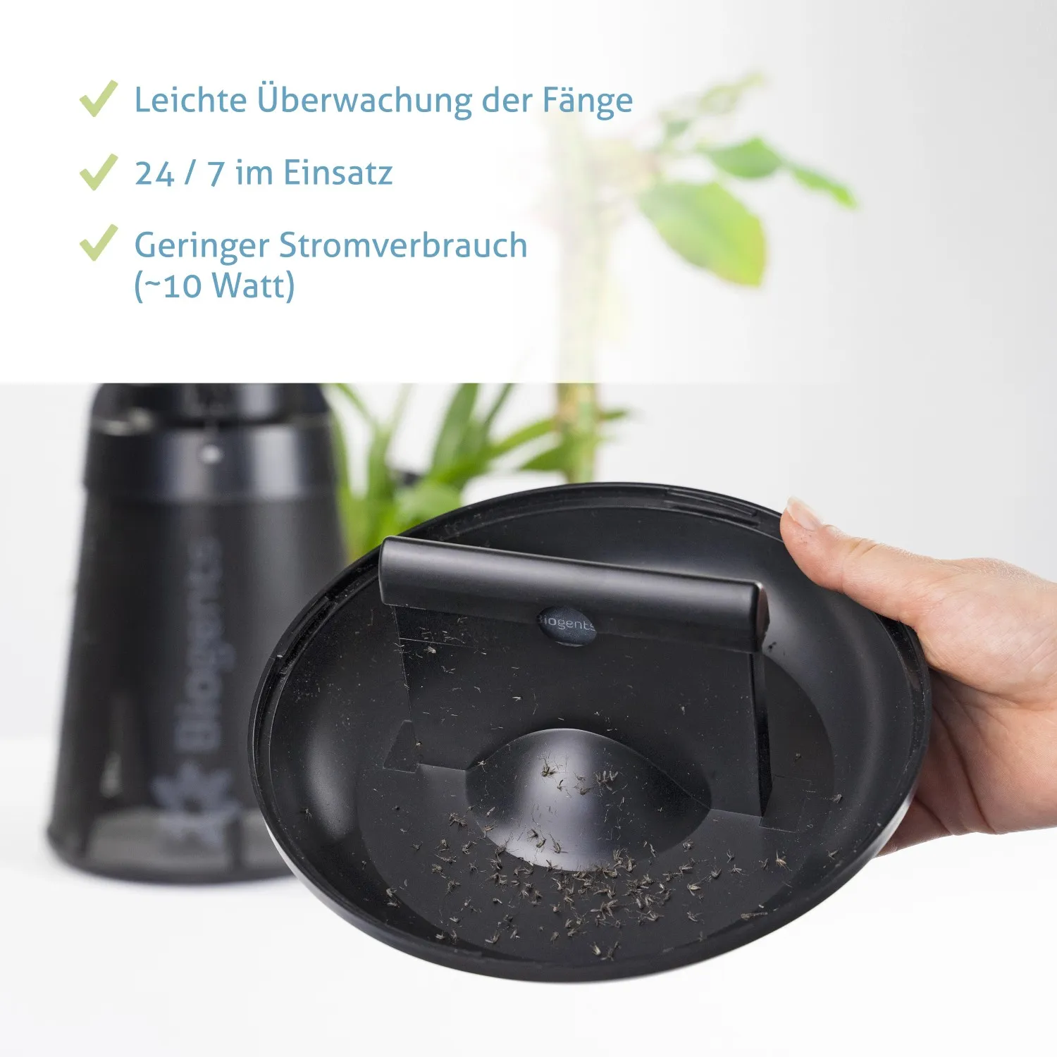 Trappola insetti Home BG04 nero